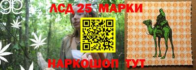 дмт Анапа