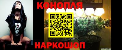 дмт Анапа