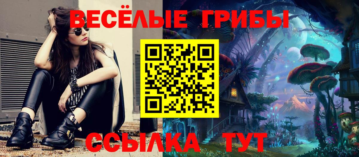 Псилоцибиновые грибы ЛСД Городец