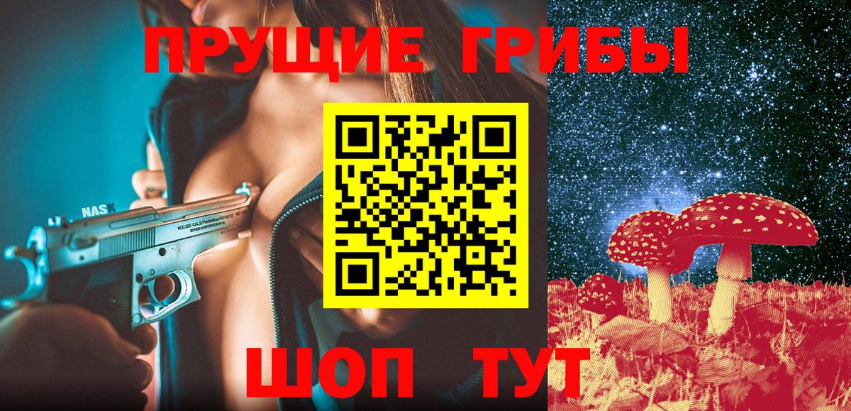 Городец  Псилоцибиновые грибы GOLDEN TEACHER  Вход с VPN  где найти наркотики  Псилоцибиновые грибы прущие грибы 